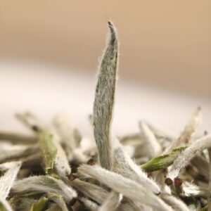 Baihao Yinzhen beli čaj (Bela Dlakava Srebrna Igle)